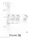 Fig. 07 - Lighting Apparatus and Light Emitting Diode Device Thereof