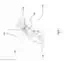 Fig. 07 - APPARATUS FOR PIPELINE INSPECTION