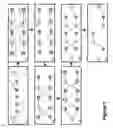 Fig. 02 - Rescaling