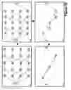 Fig. 07 - Rescaling