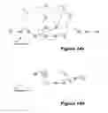 Fig. 18 - Rescaling
