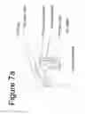 Fig. 08 - Door Handle Sterilizer
