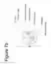 Fig. 09 - Door Handle Sterilizer