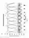 Fig. 04 - Antenna array with metamaterial lens
