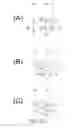 Fig. 22 - Optical elements with alternating reflective lens facets