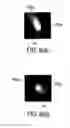 Fig. 11 - Detecting and tracking objects in images