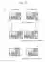 Fig. 17 - Stereoscopic image display system, disparity conversion device, disparity conversion method, and program