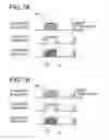 Fig. 08 - 3D image display apparatus and control method for same