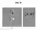 Fig. 14 - Apparatus and method for depth image-based representation of 3-dimensional object