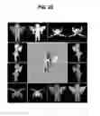 Fig. 19 - Apparatus and method for depth image-based representation of 3-dimensional object