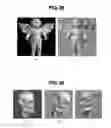 Fig. 25 - Apparatus and method for depth image-based representation of 3-dimensional object