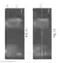 Fig. 09 - Generating composite medical images