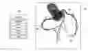 Fig. 01 - METHOD AND SYSTEM FOR IMPROVED MEDICAL IMAGE ANALYSIS