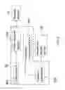 Fig. 10 - Alignment of stereo images pairs for viewing