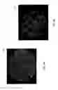 Fig. 08 - Methods and system for validating sample images for quantitative immunoassays