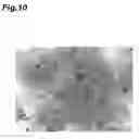 Fig. 11 - Image-acquisition device