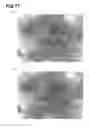 Fig. 12 - Image-acquisition device