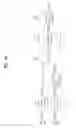 Fig. 31 - Transmitting/receiving system and method of processing broadcast signal in transmitting/receiving system