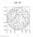 Fig. 07 - Method of detecting specific defect, and system and program for detecting specific defect