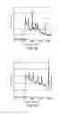 Fig. 12 - Fiber optic probes utilizing GRIN lenses for spatially precise optical spectroscopy