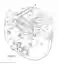 Fig. 12 - FLUID SUBMERSIBLE SENSING DEVICE