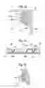 Fig. 07 - Security elements and methods of manufacture