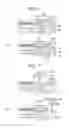Fig. 06 - FOCUS RING AND SUBSTRATE PROCESSING APPARATUS HAVING SAME