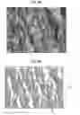 Fig. 05 - Electrode foil, process for producing same, and capacitor using electrode foil