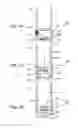 Fig. 11 - Illumination apparatus