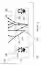 Fig. 03 - Shaped Reflectors for Enhanced Optical Diffusion in Backlight Assemblies