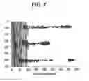 Fig. 07 - Method and device to measure perforation tunnel dimensions