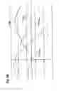 Fig. 08 - Ultrasonic measurement apparatus and method for evaluating an ultrasonic signal