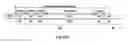 Fig. 03 - Information recording medium, and recording method and reproducing method thereof