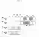 Fig. 07 - Communication system with relays and communication therein via multi-carriers