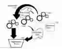 Fig. 01 - Wireless sensor network information swarming