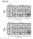 Fig. 19 - Wireless communication apparatus and wireless communication method