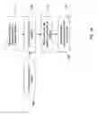 Fig. 04 - Signalling of reference signals for single user spatial multiplexing transmission schemes