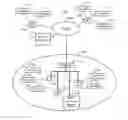 Fig. 01 - Global virtual local area network for voice communication sessions in a wireless local area network