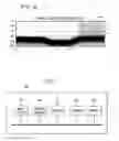 Fig. 10 - Frequency dependent I/Q imbalance compensation