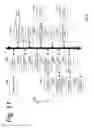 Fig. 12 - EFFICIENT CLIPPING