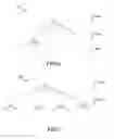 Fig. 08 - Efficient transform unit representation