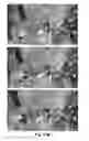 Fig. 32 - Digital video encoder system, method, and non-transitory computer-readable medium for tracking object regions