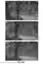 Fig. 34 - Digital video encoder system, method, and non-transitory computer-readable medium for tracking object regions