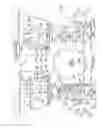 Fig. 77 - Voice over data telecommunications network architecture