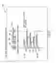 Fig. 99 - Voice over data telecommunications network architecture