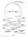 Fig. 02 - Ear speaker device