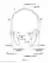 Fig. 04 - Ear speaker device