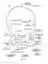 Fig. 40 - Ear speaker device