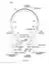 Fig. 50 - Ear speaker device