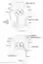 Fig. 54 - Ear speaker device